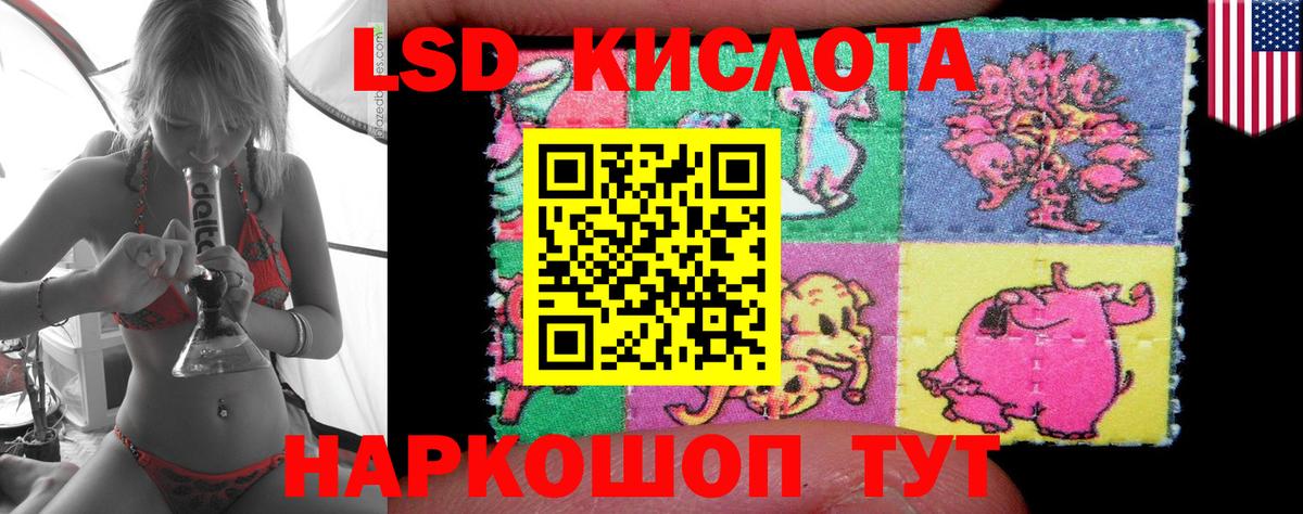 Камышлов  Лсд 25 экстази ecstasy  Вход с VPN  ЛСД экстази ecstasy 